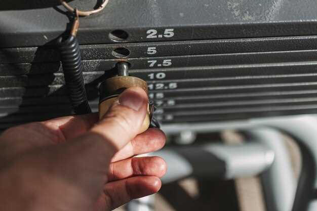 Técnicas de diagnóstico para motores eléctricos