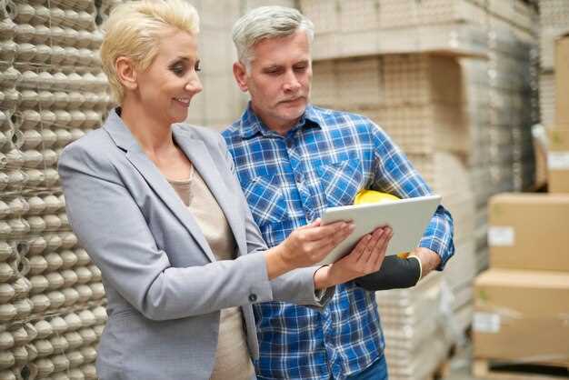 Diferencias entre cargadores industriales y domésticos: velocidad y potencia
