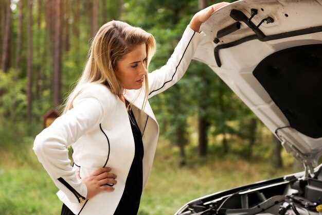 Identificación de señales de alarma en un coche eléctrico